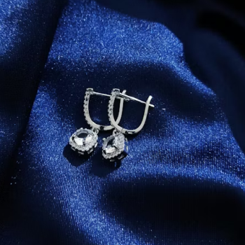 Elegant Drop Earrings